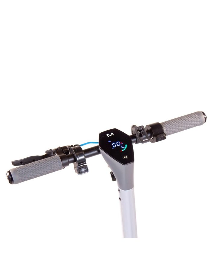 Motus Scooty 10 Gen 4 350W Electric Scooter - 2024