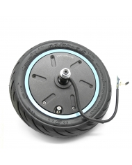 Motor 350W rear tyre + tube Motus Scooty 10 2021