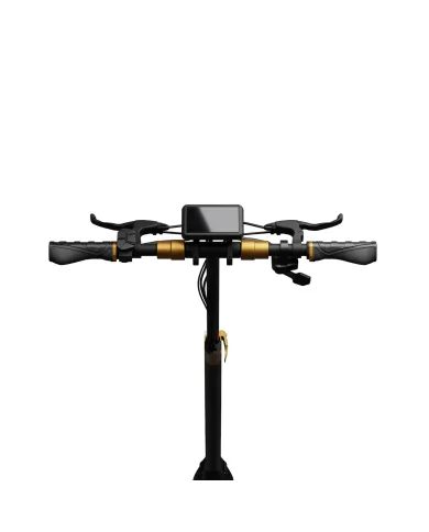 Monopattino elettrico RUPTOR R1 Lite V2 in rame
