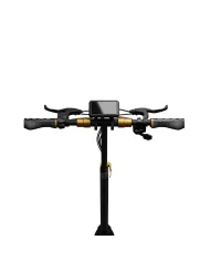 Trotinetă electrică RUPTOR R1 Lite V2 din cupru