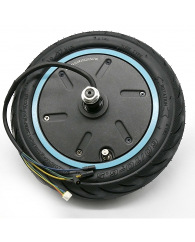 500W Motor Tire + Rear Tube Motus Scooty 10 PLUS