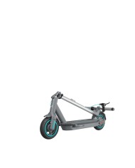 Electric Scooter Motus Scooty 10 GEN 6 | 350 W | 15 Ah | Range up to 65 km (40 mi)