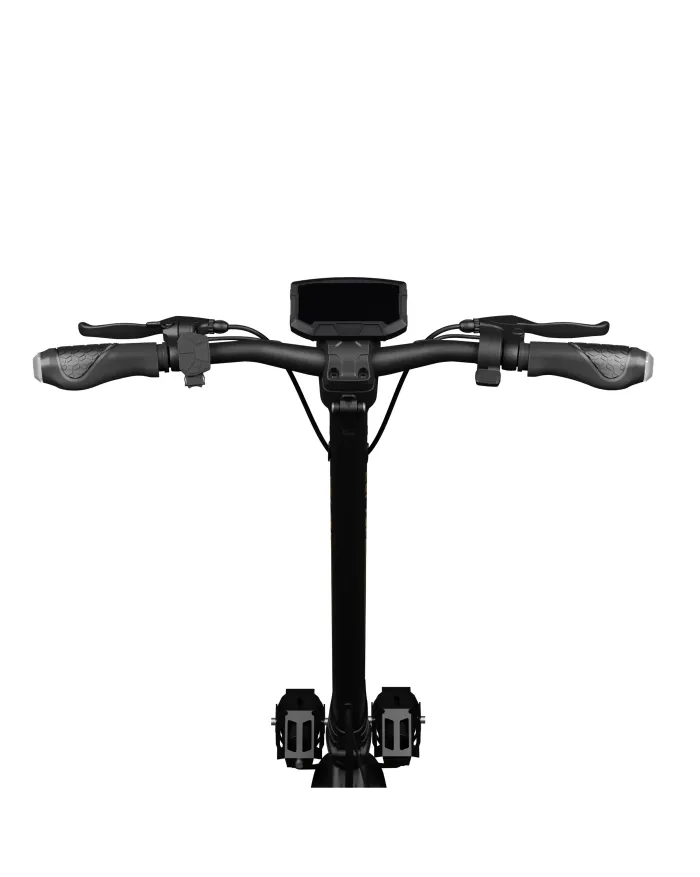 Electric Scooter RUPTOR R6 V4 Copper
