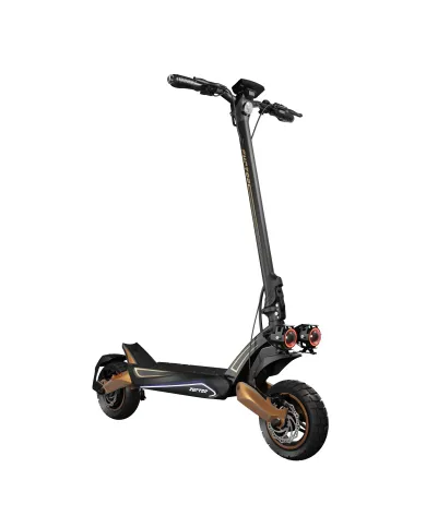 Trotinetă electrică RUPTOR R3 V4 din cupru