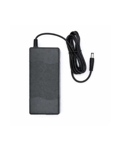 Charger for MOTUS Scooty Electric Scooter 42V 1.5A