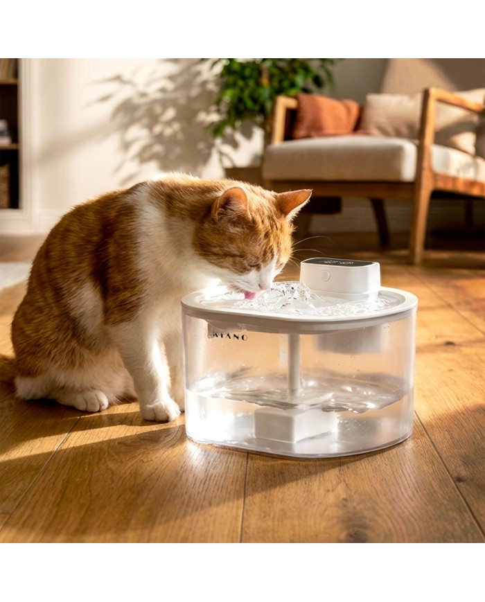 Automatic water dispenser for dogs and cats Kiano Aqua