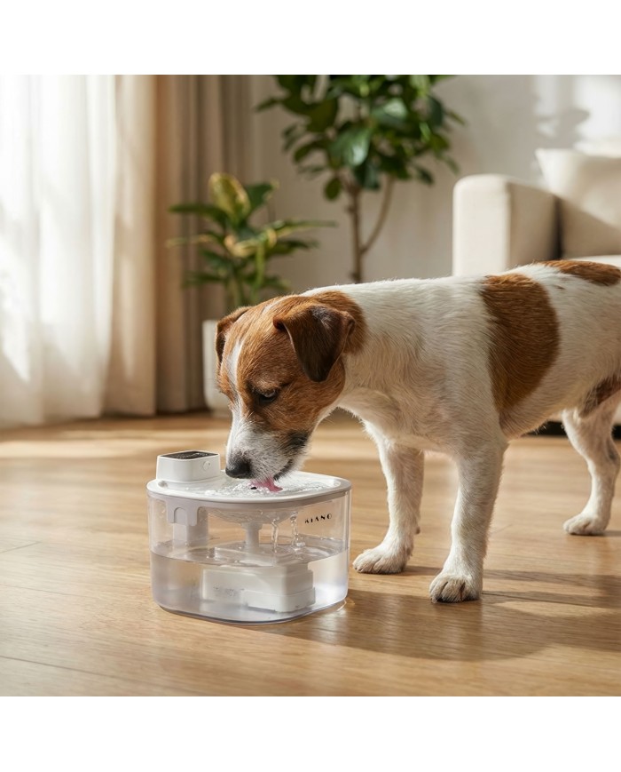 Automatic water dispenser for dogs and cats Kiano Aqua
